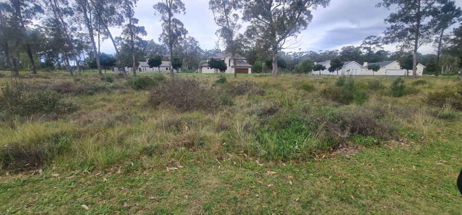 0 Bedroom Property for Sale in Wedgewood Golf Estate Eastern Cape